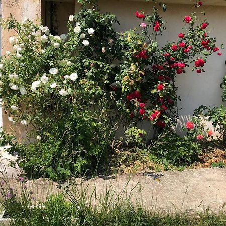 Appartamento Le Jardin Suspendu Rillieux-la-Pape Esterno foto