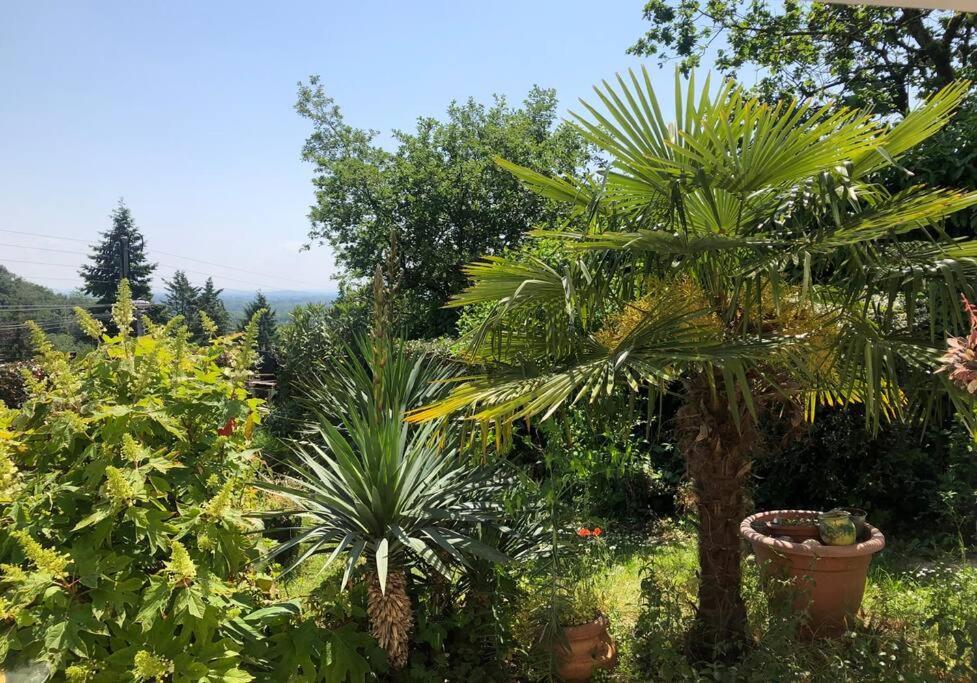 Appartamento Le Jardin Suspendu Rillieux-la-Pape Esterno foto