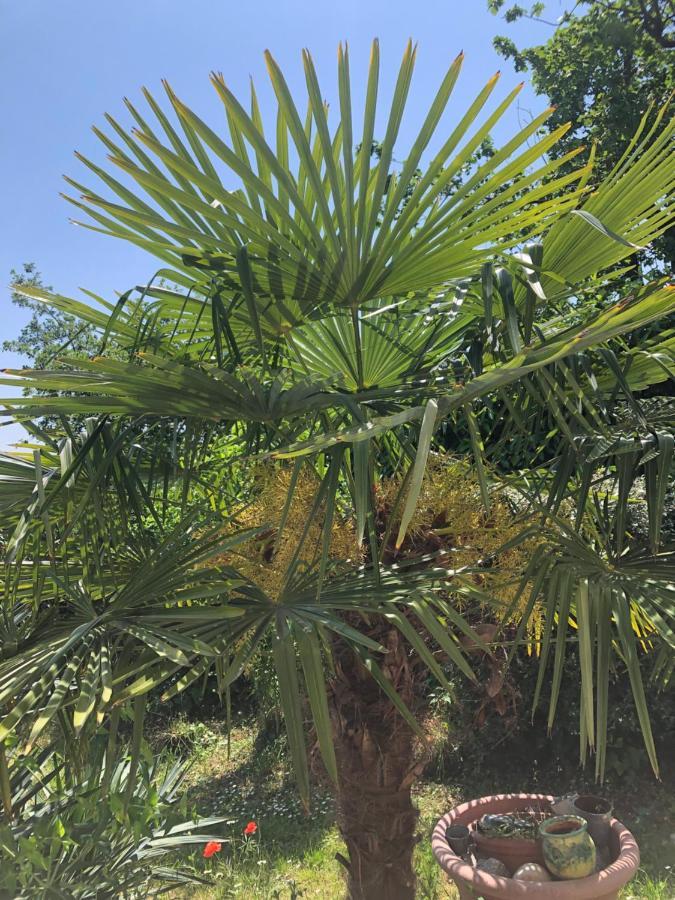 Appartamento Le Jardin Suspendu Rillieux-la-Pape Esterno foto