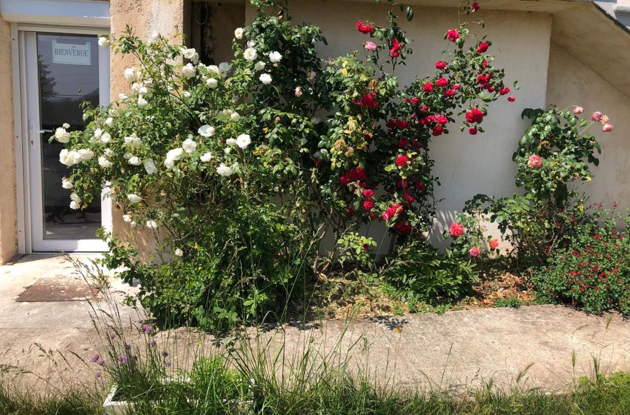 Appartamento Le Jardin Suspendu Rillieux-la-Pape Esterno foto