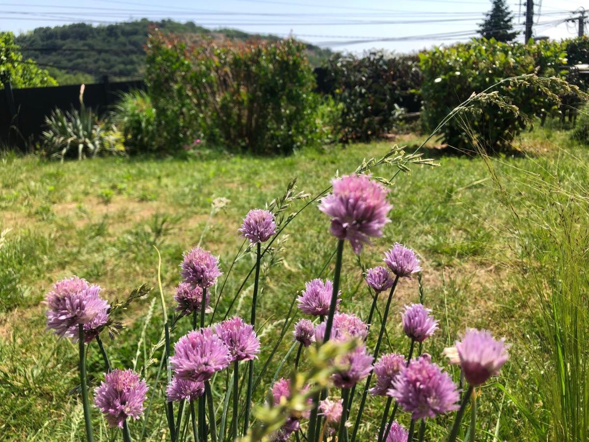 Appartamento Le Jardin Suspendu Rillieux-la-Pape Esterno foto